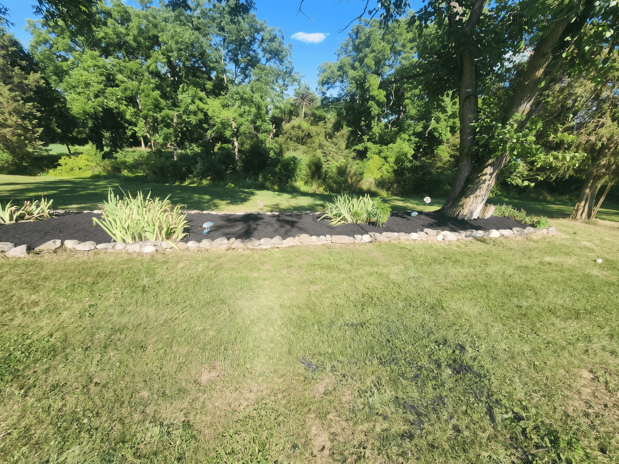 Mulch Island photo