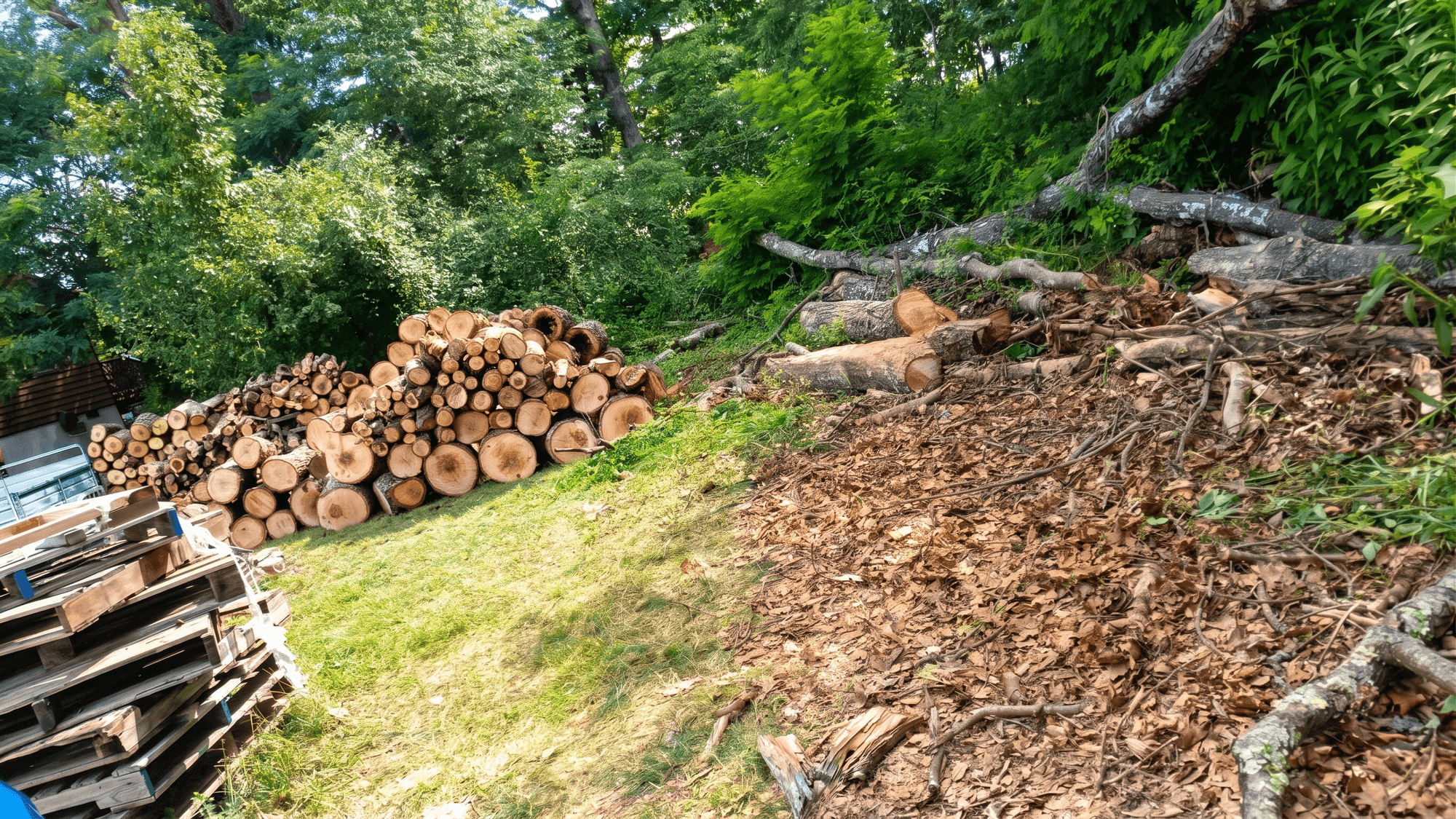 Cleanup photo